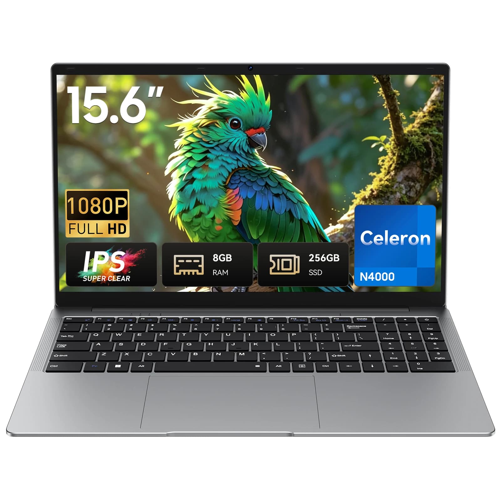 HYPERSTRIX 15.6" Laptop, Celeron N4000, 8GB RAM 256GB SSD, Full HD 1080P Display, Dual-Band WiFi, Mini HDMI, Lightweight Slim Silver Notebook for Business, School, Home