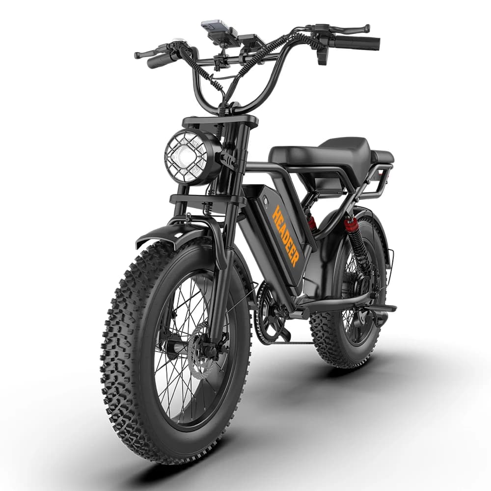 Headeer Electric Bk20 Bike 750W Motor Tires Wide 20 Inch Battery 48V 20Ah Dual Disc Brakes Lcd Speed Max 50 Km/H