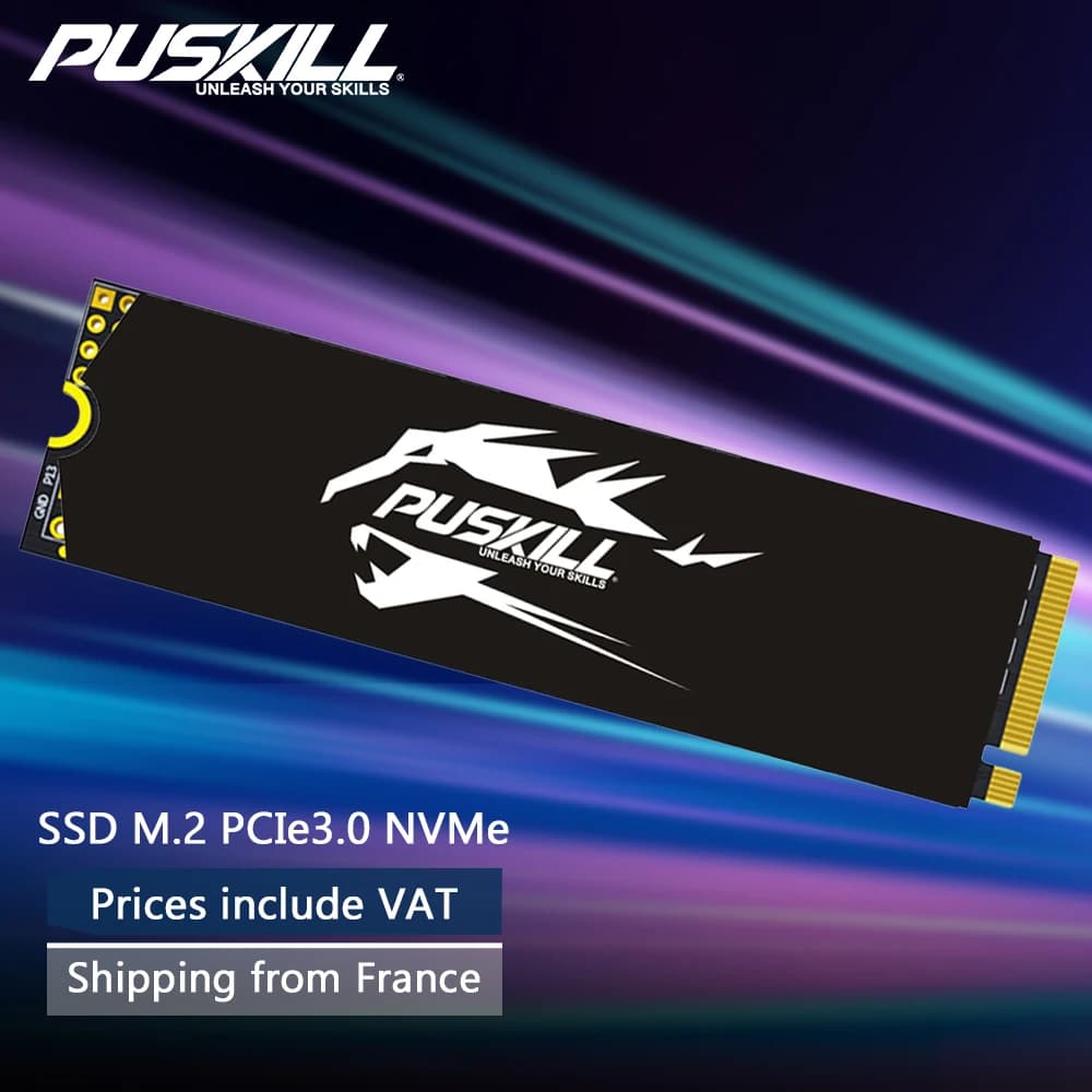 PUSKILL PCIe M.2 NVMe SSD 1TB 512GB 256GB 128GB 2280 Internal Solid State Drive for Laptop And Desktop